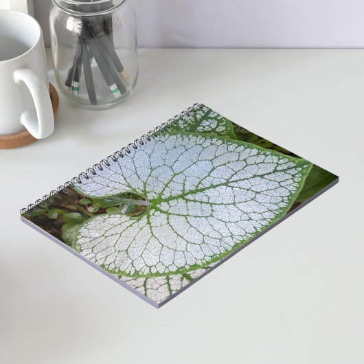 Brunnera Macrophylla Plantenblad Bloemrijk Notitieboek