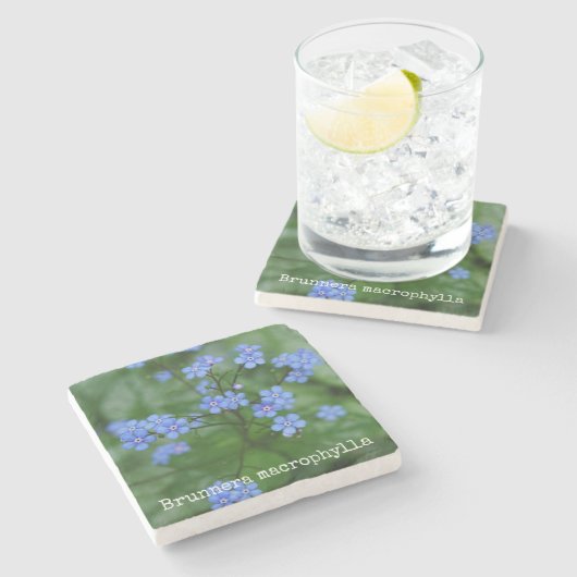 Brunnera macrophylla stenen onderzetter (Zijkant)