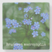 Brunnera macrophylla stenen onderzetter (Voorkant)
