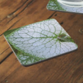 Brunnera Macrophyllum Plant Leaf Floral Bier Onderzetter
