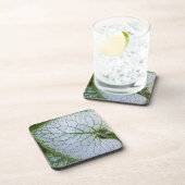 Brunnera Macrophyllum Plant Leaf Floral Bier Onderzetter (Rechterzijde)