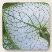 Brunnera Macrophyllum Plant Leaf Floral Bier Onderzetter (Voorkant)