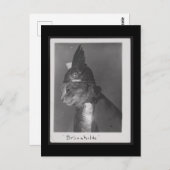 Brunnhilde kat briefkaart (Voorkant / Achterkant)