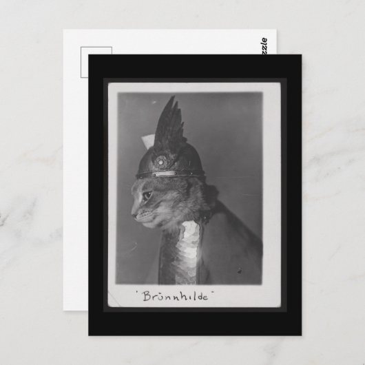 Brunnhilde kat briefkaart (Voorkant / Achterkant)