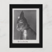 Brunnhilde kat briefkaart (Voorkant)