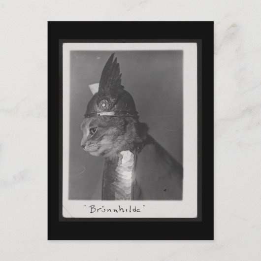 Brunnhilde kat briefkaart (Voorkant)