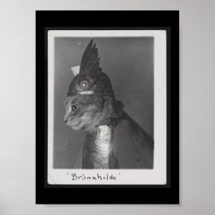 Brunnhilde kat poster