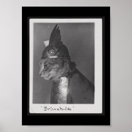 Brunnhilde kat poster (Voorkant)