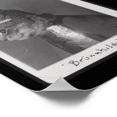 Brunnhilde kat poster (Hoek)