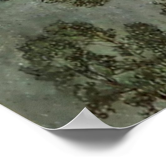 "Brunnhilde Valkerie Maiden" door Arthur Rackham Poster (Hoek)