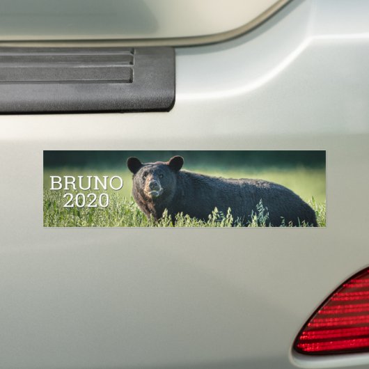 Bruno 2020 Bumpersticker (Op auto)