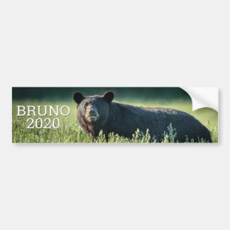 Bruno 2020 Bumpersticker
