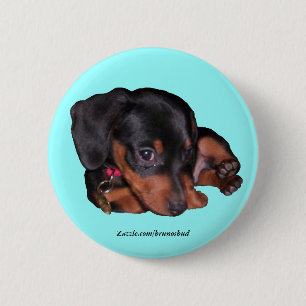 Bruno Button