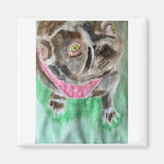 Bruno de bulldog-magneet magneet