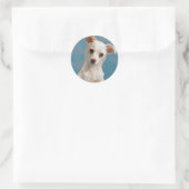 Bruno de Chihuahua Puppy Ronde Sticker (Tas)