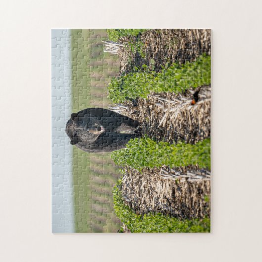 Bruno het Beer in de Beans Puzzle Legpuzzel (Verticaal)