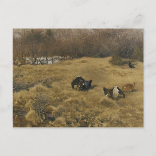 Bruno Liljefors - Black Grouse Display Briefkaart