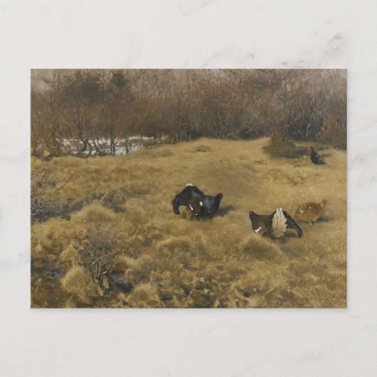 Bruno Liljefors - Black Grouse Display Briefkaart (Voorkant)