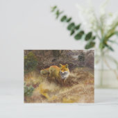 Bruno Liljefors - Fox and Landscape Briefkaart (Staand voorkant)