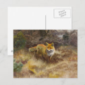 Bruno Liljefors - Fox and Landscape Briefkaart (Voorkant / Achterkant)