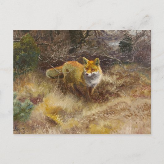 Bruno Liljefors - Fox and Landscape Briefkaart (Voorkant)