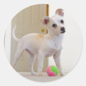 Bruno Ronde Sticker (Voorkant)