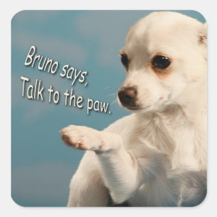 Bruno zegt tegen de Sticker van Paw te praten