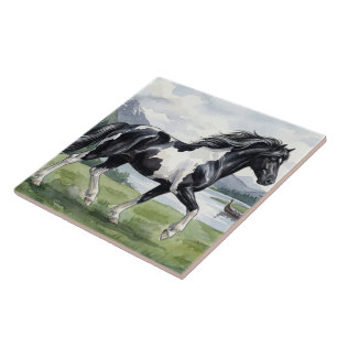 Brunskjottur Zwarte Icelandic pinto Tegeltje