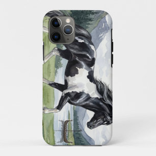 Brunskjottur Zwarte IJslandse pinto Case-Mate iPhone Case