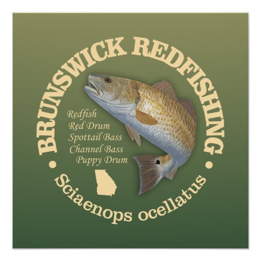 Brunswick GA (roodbaars) Perfect Poster (Voorkant)
