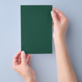 Brunswick Green Solid Color Flyer (Hand)