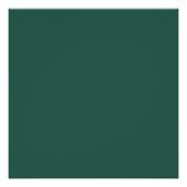 Brunswick green (solid color) foto afdruk (Voorkant)