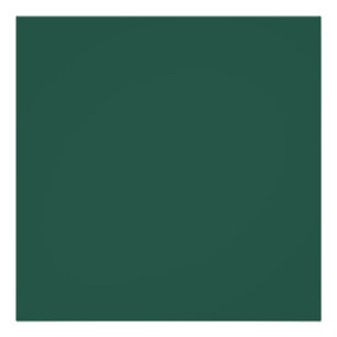 Brunswick green (solid color) foto afdruk