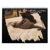 Brushstroke Opening Feline Masterpiece Photo Kalender (Hoes)