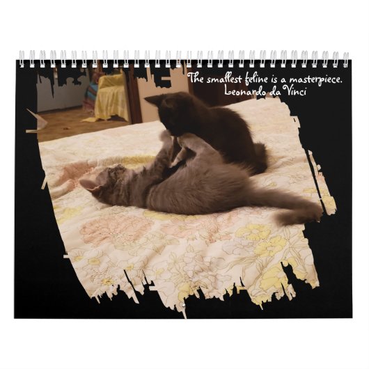 Brushstroke Opening Feline Masterpiece Photo Kalender (Hoes)