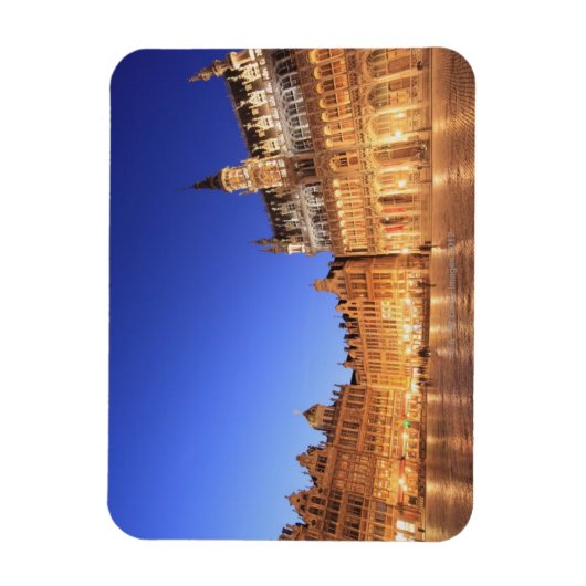 Brussel, België 2 Magneet (Verticaal)