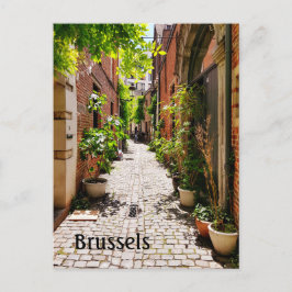 Brussel België oude straatfoto Briefkaart
