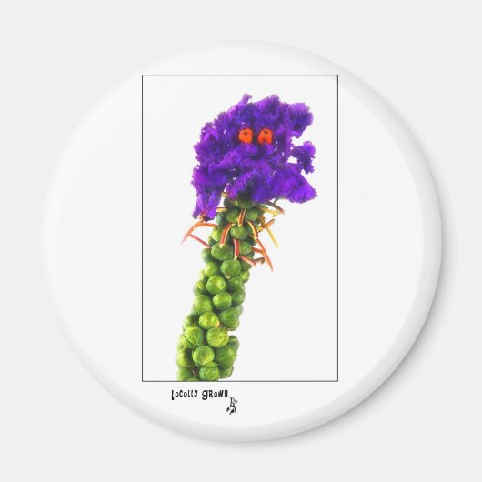 Brussel_Gezicht Magneet (Voorkant)