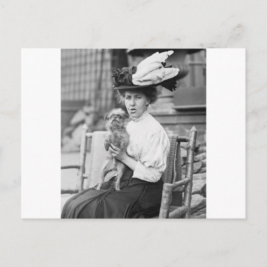 Brussel Griffon, begin jaren 1900 Briefkaart (Voorkant)