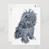 Brussel Griffon Briefkaart (Voorkant / Achterkant)