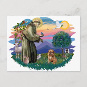 Brussel Griffon (bruin/rood) Briefkaart