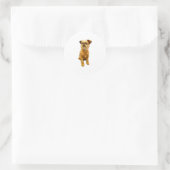 Brussel Griffon Bruxellois Schattige Puppy Dog Ronde Sticker (Tas)