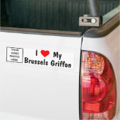 Brussel Griffon Bumpersticker (Op Truck)
