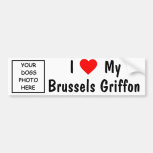 Brussel Griffon Bumpersticker