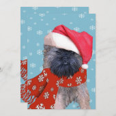 Brussel Griffon Feestdagenkaart (Voorkant / Achterkant)