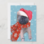 Brussel Griffon Feestdagenkaart (Achterkant)