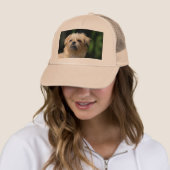 brussel - griffon.png trucker pet (In situ)