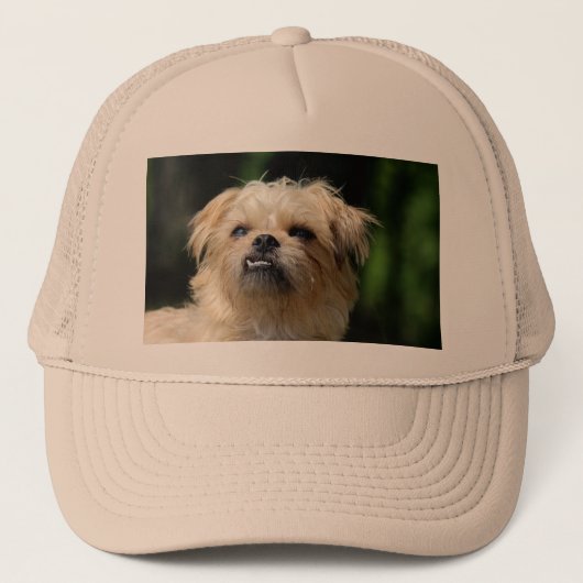 brussel - griffon.png trucker pet (Voorkant)