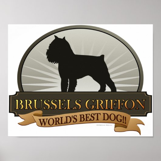 Brussel Griffon Poster (Voorkant)