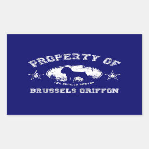 Brussel Griffon Rechthoekige Sticker